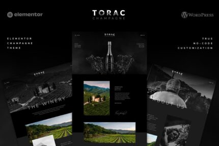 Torac - Champagne Elementor Template Kit