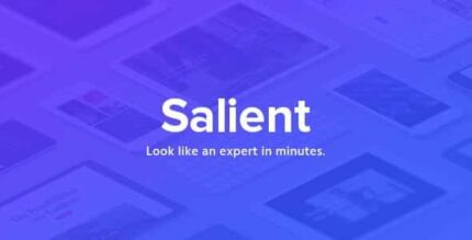 Salient - Responsive Multi-Purpose Theme