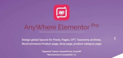 AnyWhere Elementor Pro WordPress Plugin