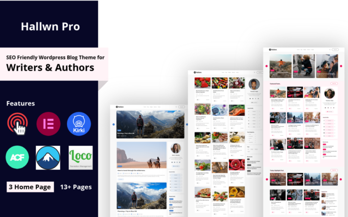 Hallwn Pro Personal SEO Friendly Wordpress Blog Theme