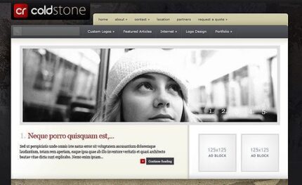Elegant Themes ColdStone WordPress Theme