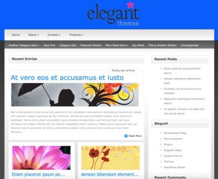 Elegant Themes Simplism WordPress Theme