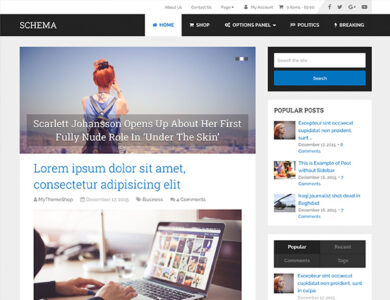 MyThemeShop Blogging WordPress Theme