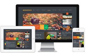 MyThemeShop Monospace WordPress Theme