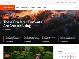MyThemeShop SocialNow WordPress Theme