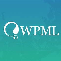 WPML Multilingual CMS WordPress Plugin