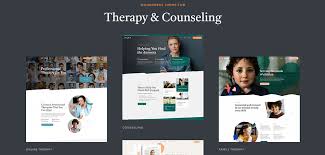 WooThemes Therapy Premium Theme