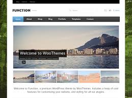 Woothemes Function WooCommerce Themes