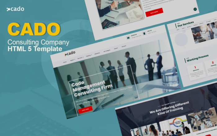 Cado Management and consulting company HTML Template Website Template