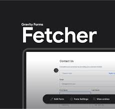 Jetsloth – Gravity Forms Fetcher
