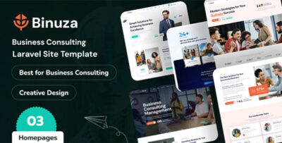 binuza business consulting laravel 12 site template