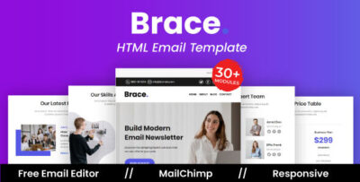brace agency multipurpose responsive email template