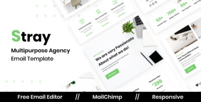 stray agency multipurpose responsive email template