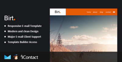 birt responsive email themebuilder access