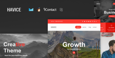 havice mail responsive e mail template online access