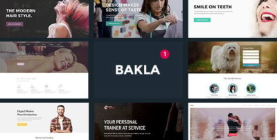 bakla multipurpose business landing page