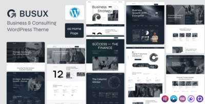 busux business consulting wordpress theme