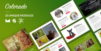 colorado email template online builder