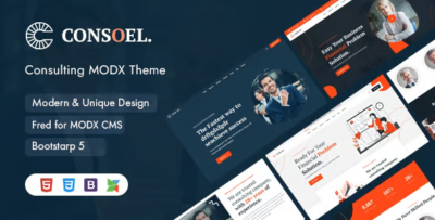 consoel consulting business modx themes