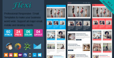 flexi professional responsive email template